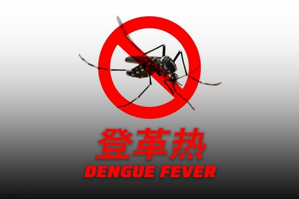 6省“两热”高危！无特效药怎么破？国家级指南明确用药方向紧急提醒！国家疾控局