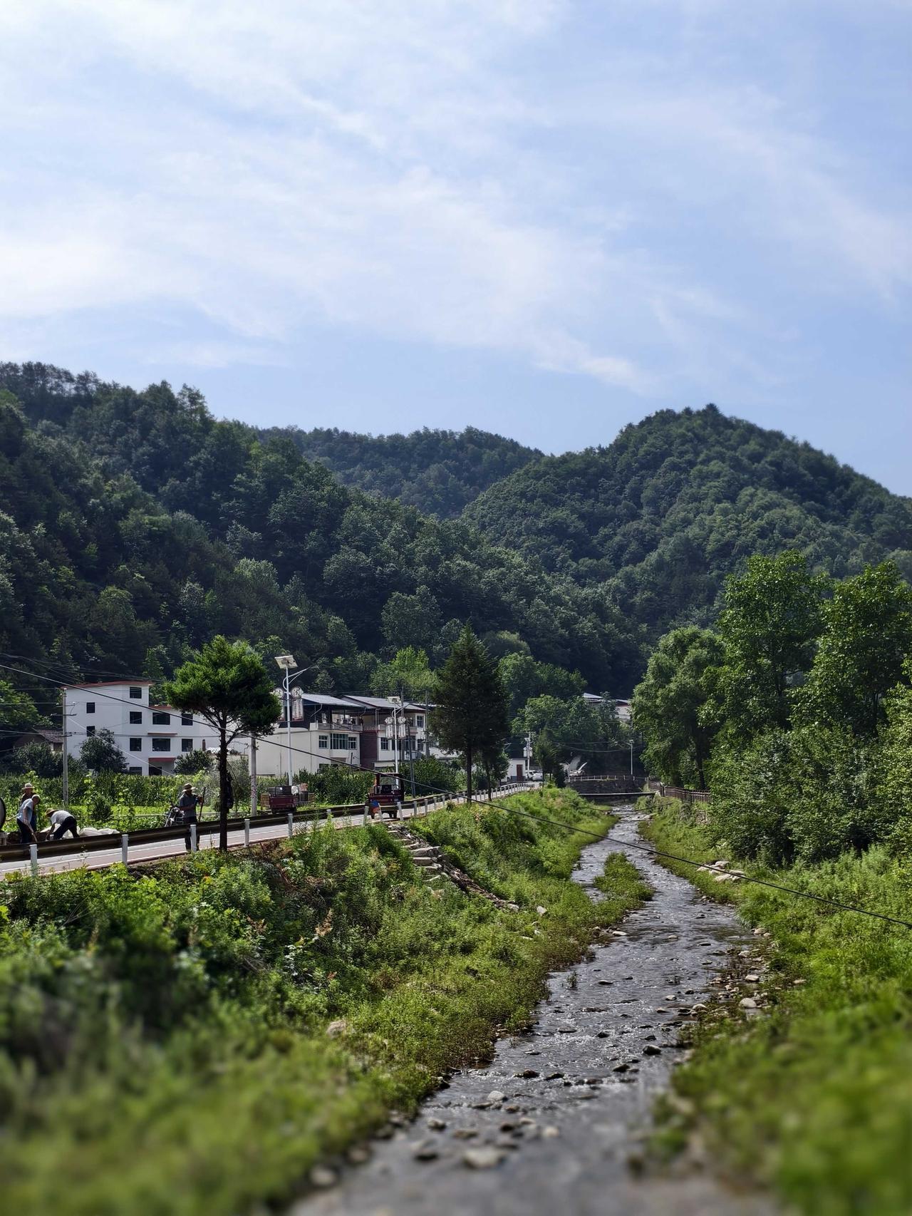 我去年在山里避暑住民宿看到：厨房里苍蝇乱飞，早上吃剩下的食物馒头剩菜等也不盖裸露