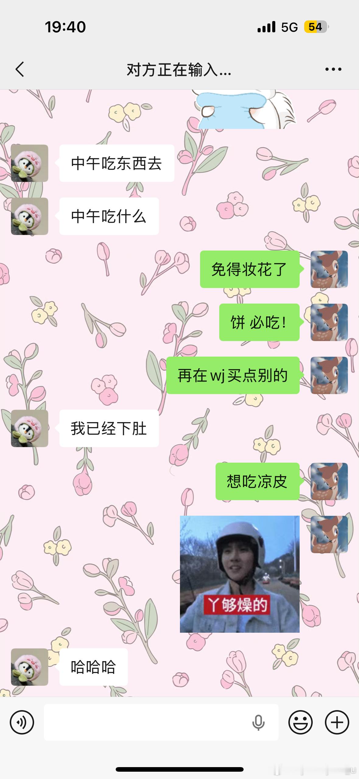 这表情真的笑死我了我的最近最爱用