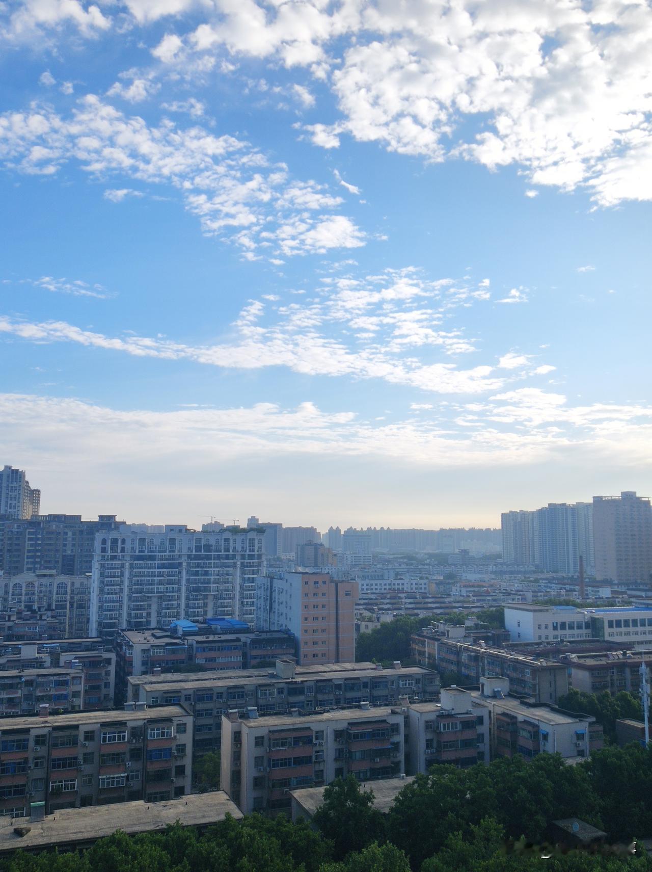 前几天还有生活在郑州的人说，今年郑州的夏天有点儿反常，早上给人的感觉有点儿像秋天