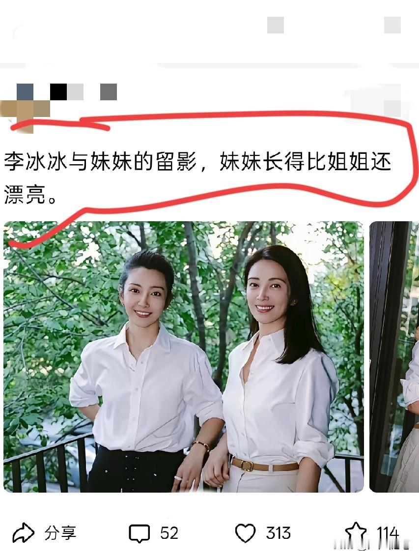乍一看有点傻傻分不清。