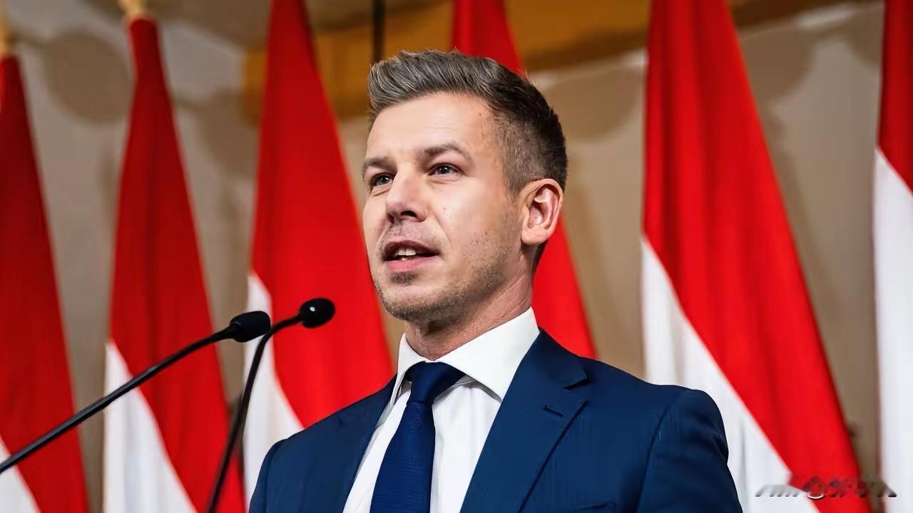 毛焦尔，匈牙利icon新任总理，非常厉害！匈牙利政坛这回可真是太热闹了。