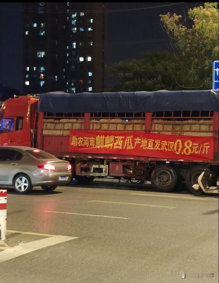 生活百态白天抢鸡蛋晚上夺西瓜