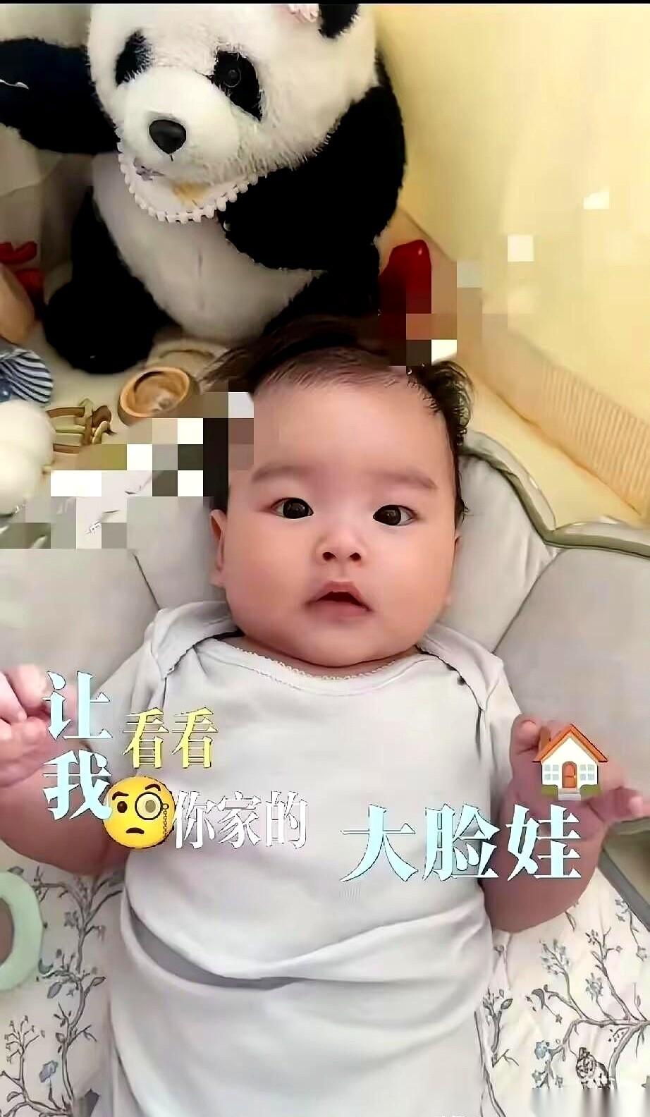 为了一个粽子，我家那个脸盘子越长越圆的胖崽，今天差点跟我当场翻脸。真的，千万别