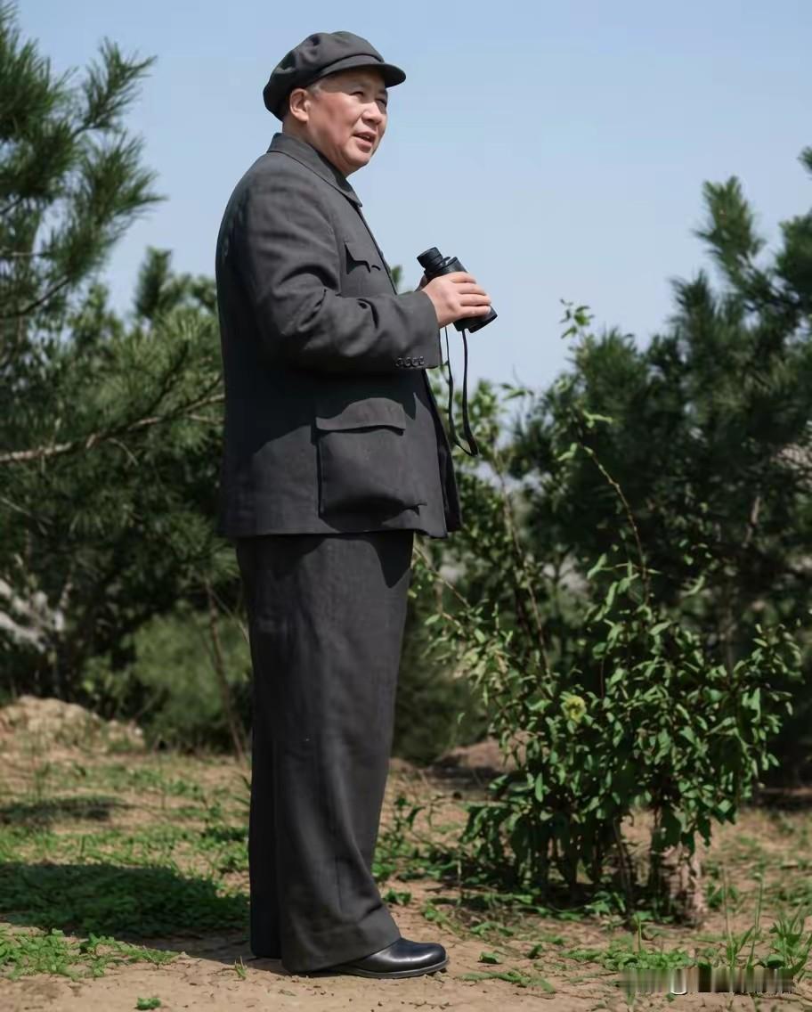 伫立山野，手持望远镜俯瞰大地。硝烟岁月里，正是一次次登高研判、运筹布局，一步步走