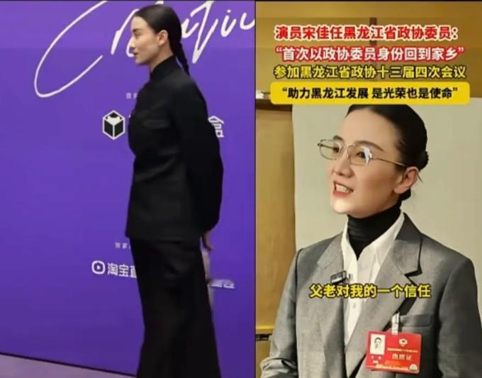 刷到演员宋佳当选黑龙江省政协委员的消息，我挺纳闷的！不是质疑宋佳本人，而是想