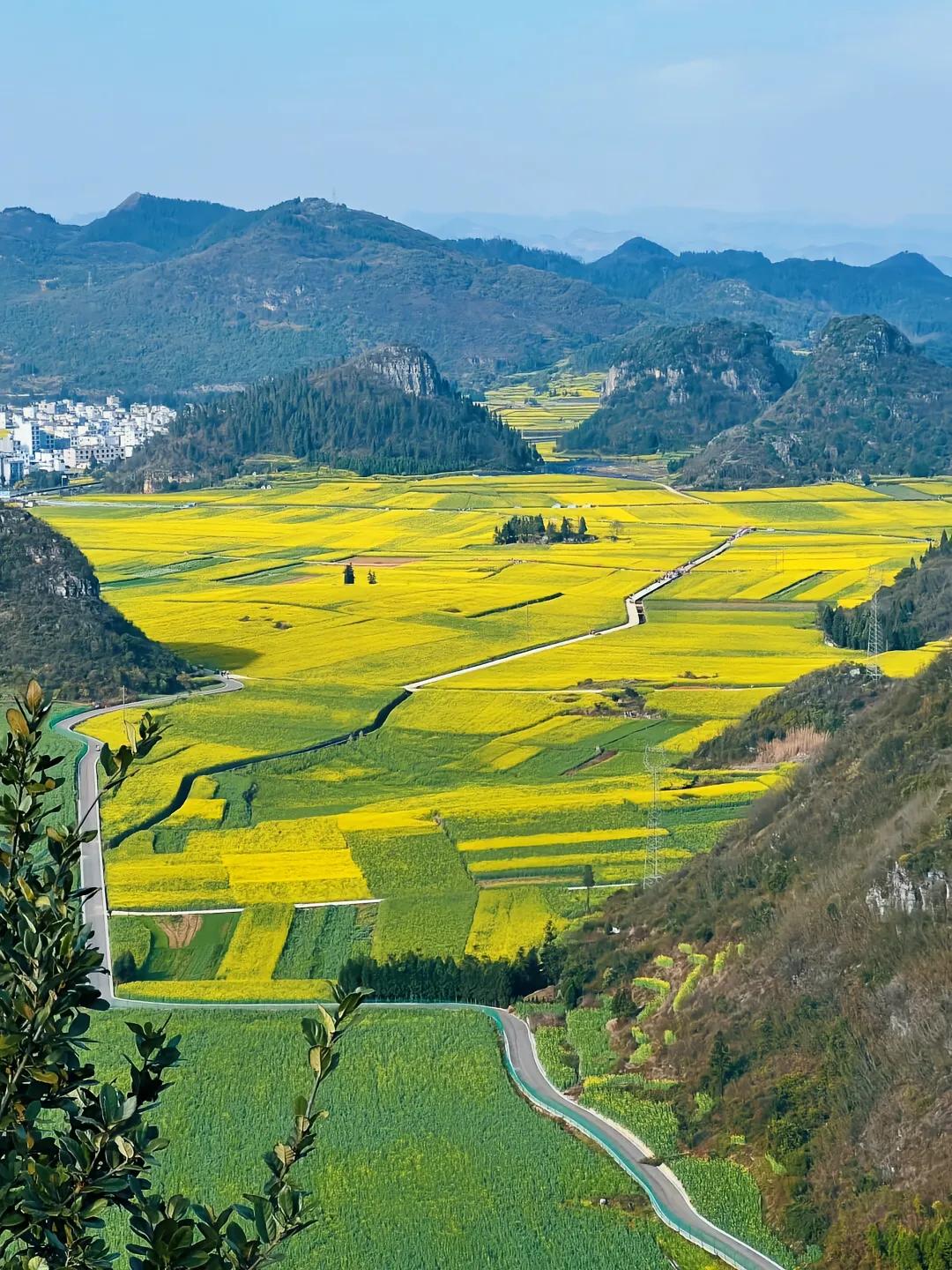 为什么有的家长说补课没有用？为什么又有的家长说补课是非常有用的？那是因为你们两