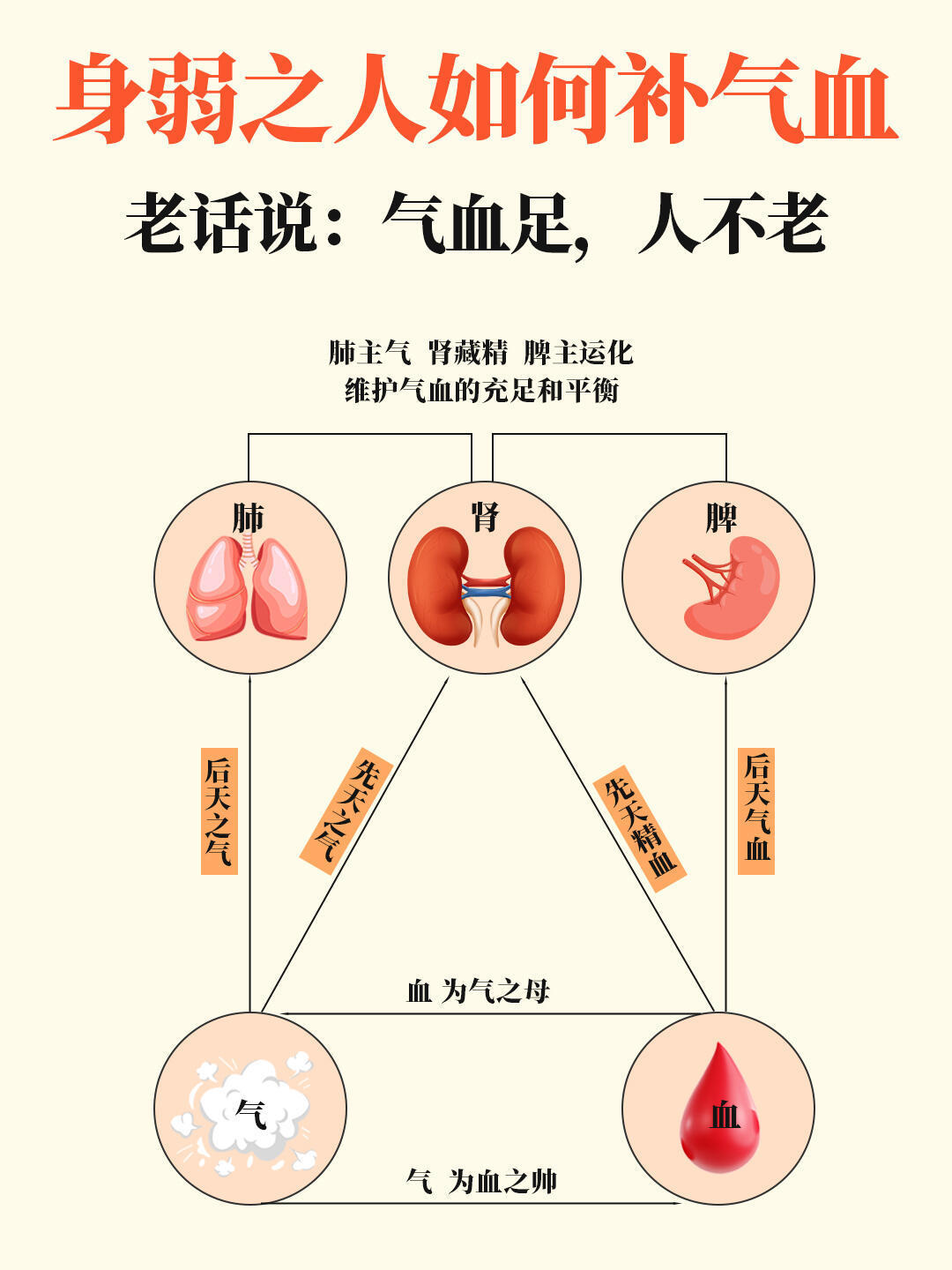 养气血=养命！身弱之人该如何补气血？||老话说：气血足，人不老。健闻登顶计划气