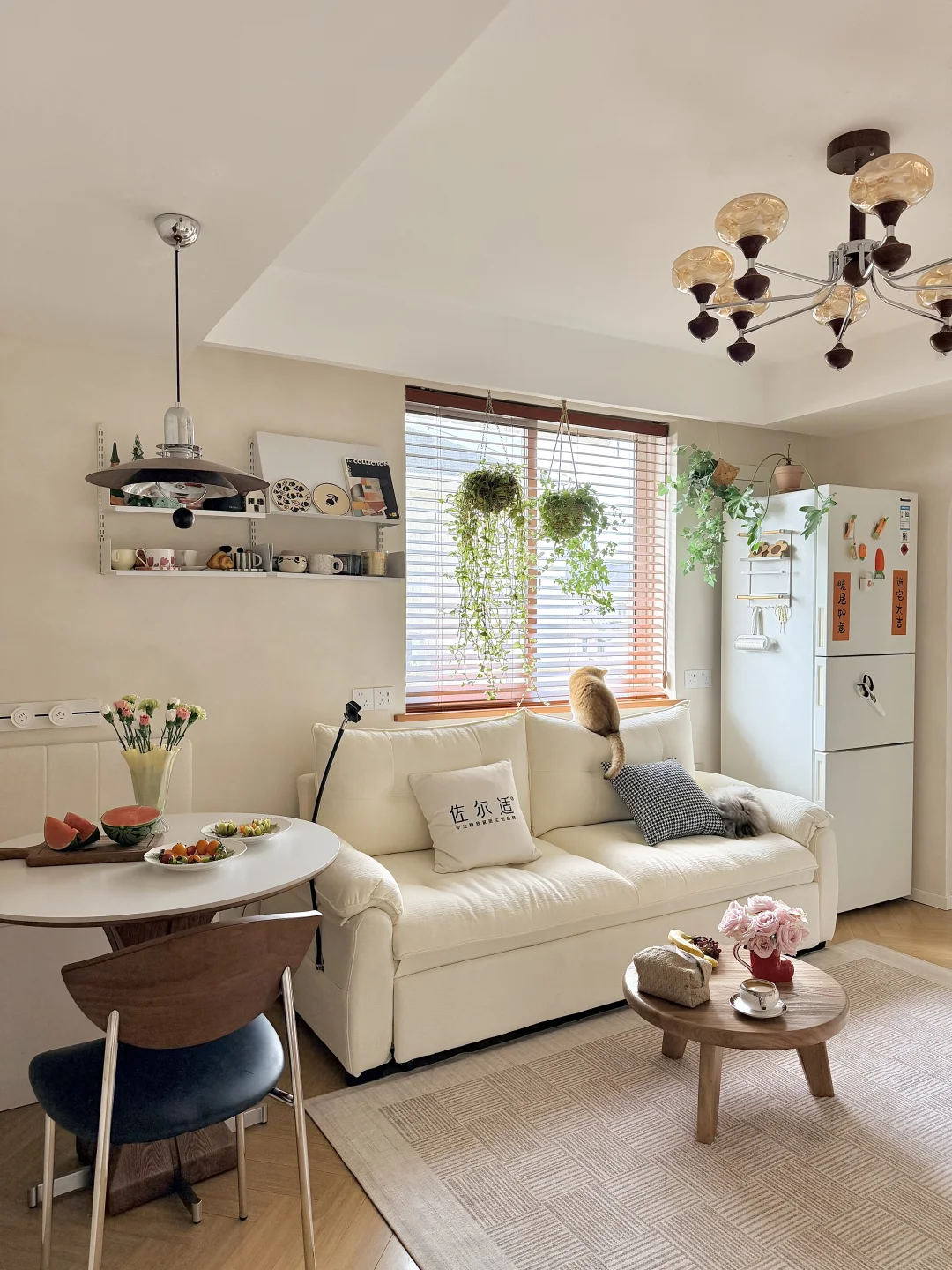 金窝银窝，不如我的65平小窝🏡