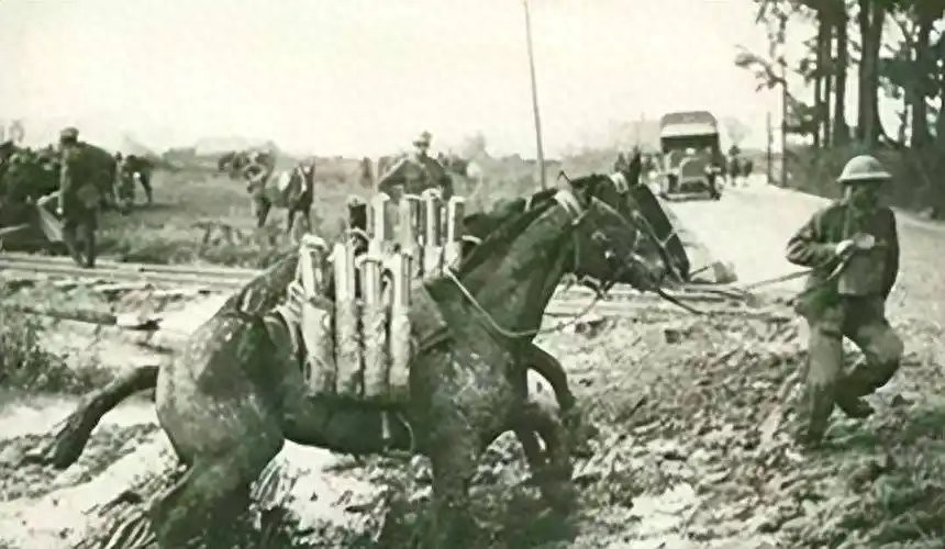 1945年9月9日，南京受降，冈村宁次签下投降书。除枪炮之外，日军移交七万余匹军
