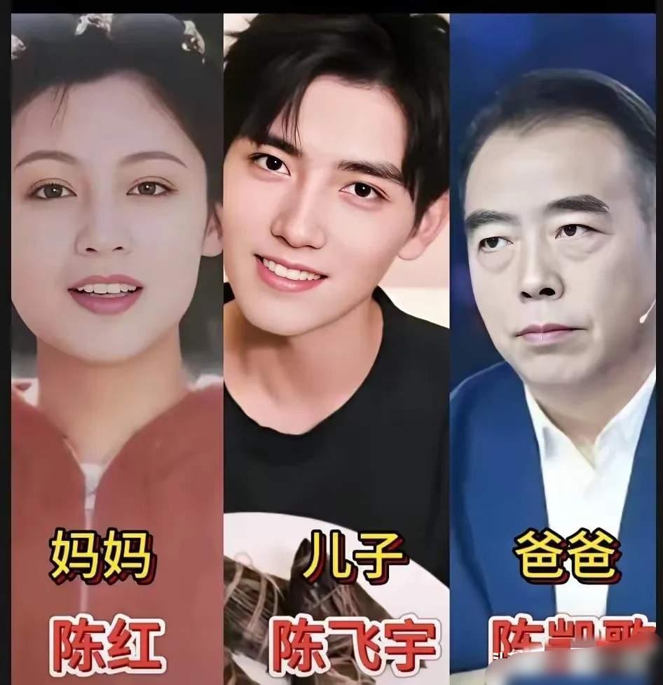 陈飞宇一家三口沈佳润一家三口巩天阔一家三口三组明星家庭同框，氛围感满满，一