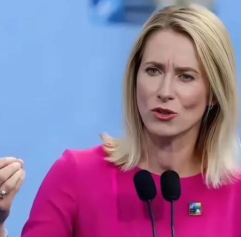 欧盟美女外长卡拉斯又闹了个国际笑话！ 比利时坚决不同意动用冻结的俄罗斯资产，