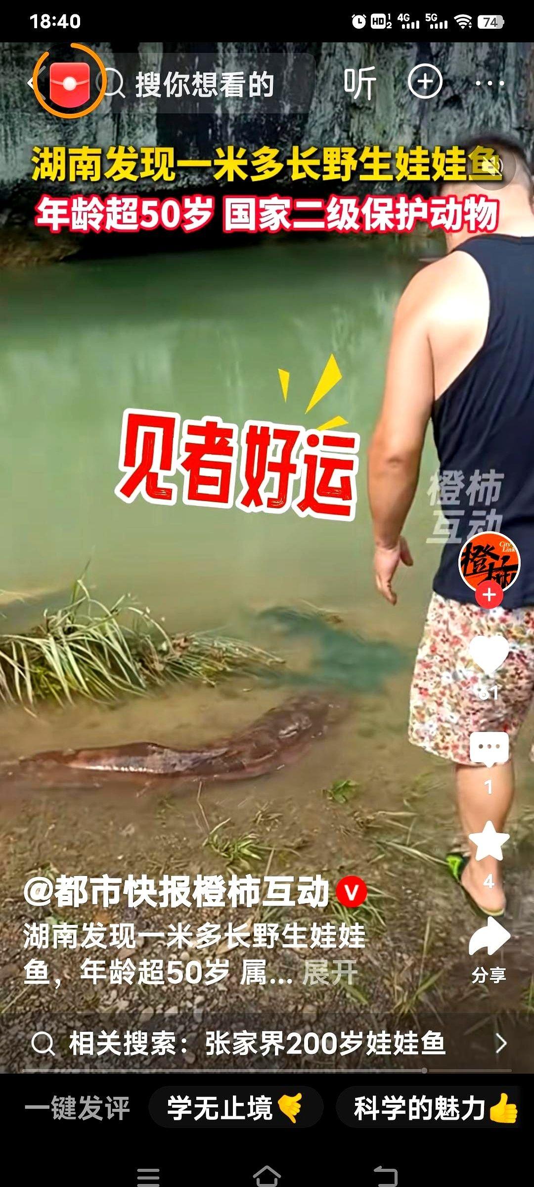 湖南辰溪县，7月7号，一声喊，半个村子的人都涌到了长田湾乡的河沟边。不是捞着了
