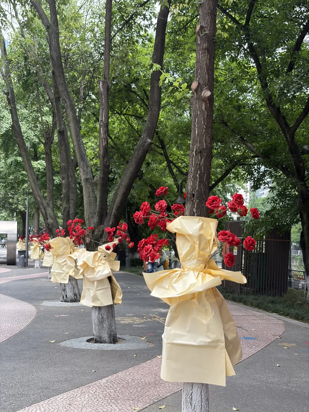 成都果然是大城市。。。。。。。。。。