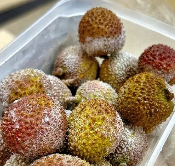冻荔枝能吃一年？去年夏天我试了一次