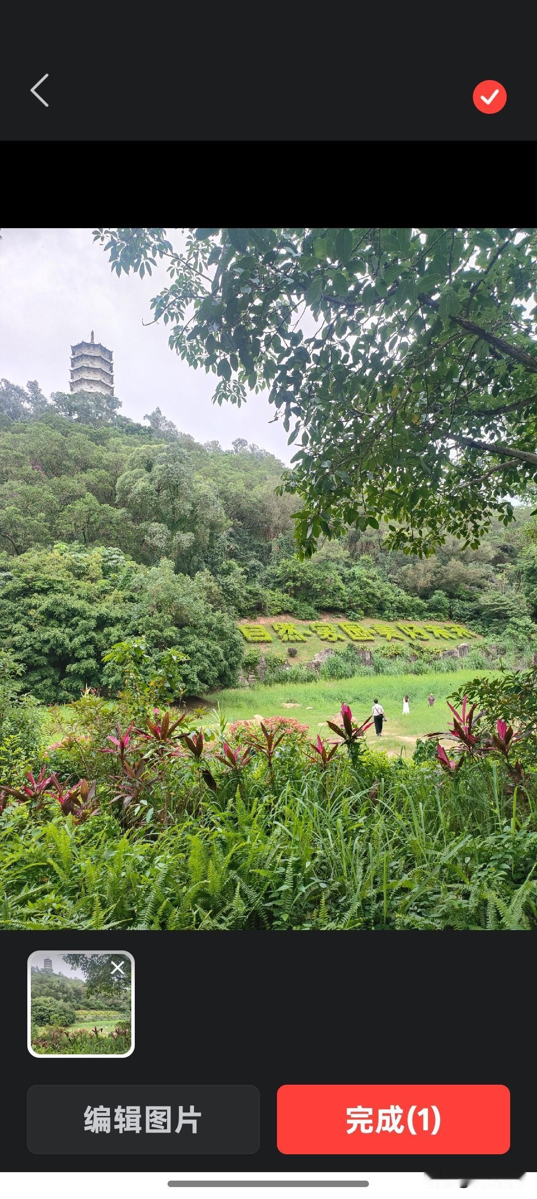 周末逃开喧嚣，一头扎进园博园的天然氧吧里。抬头是层叠的绿意，远处福塔在山林