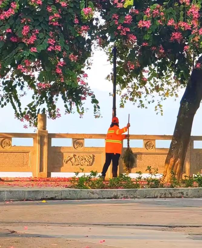 山东，环卫工大姐清晨扫街，突然听见绿化里传来一阵奇怪的“哼唧”声。她忍不住扒开冬