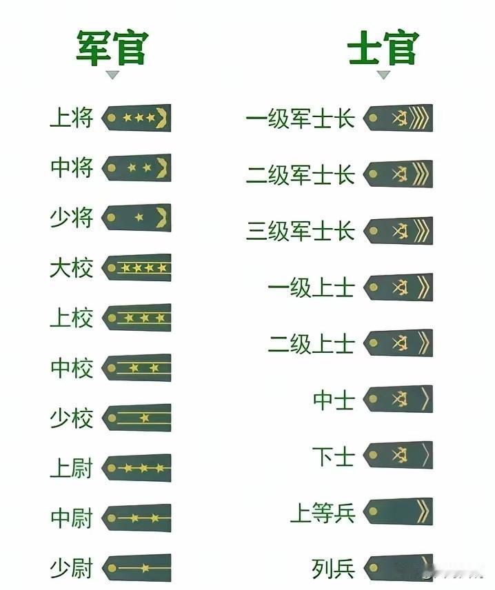 一级军士长绝对是士兵里面的天花板！军士衔级