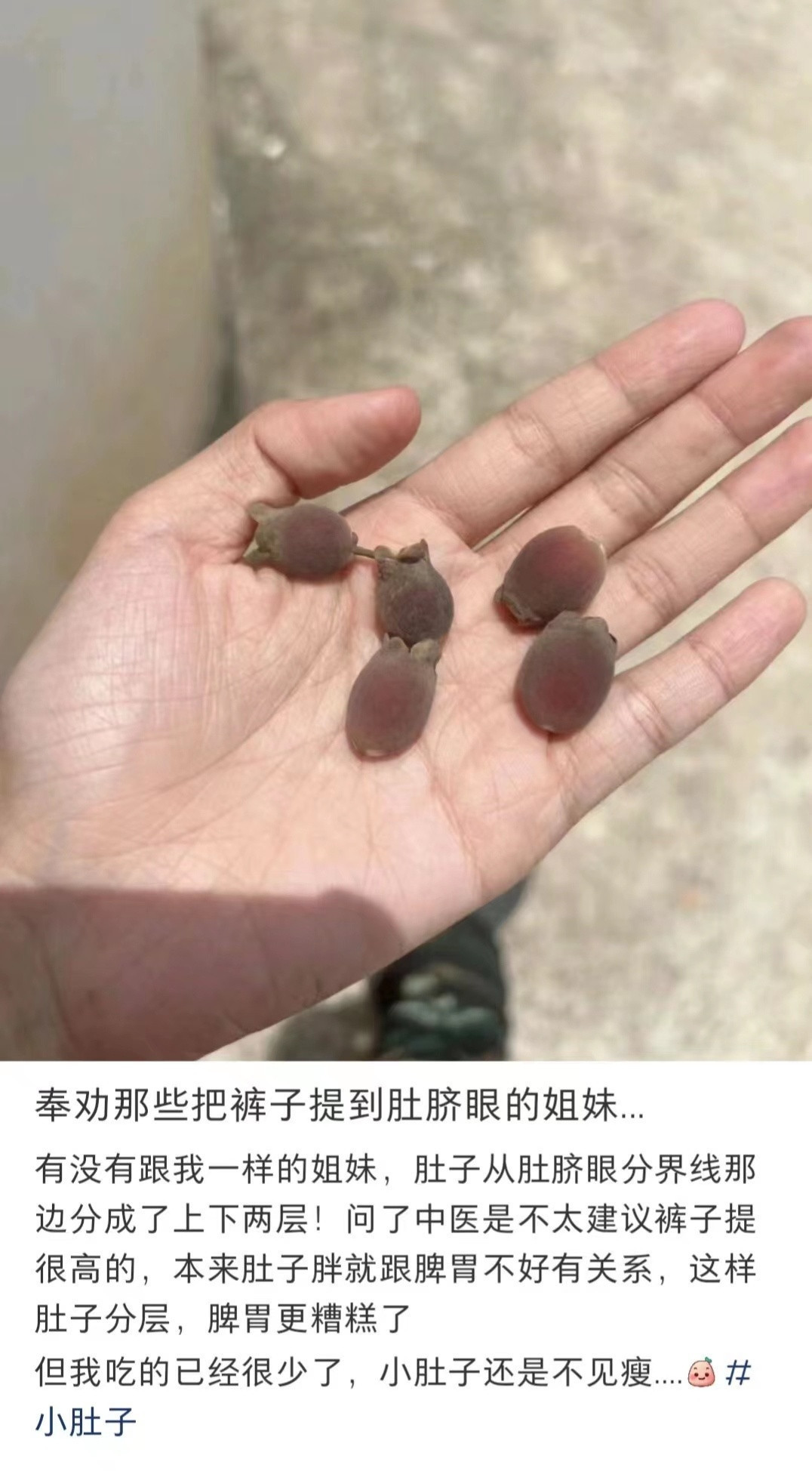528 奉劝那些把裤子提到肚脐眼上的姐妹… ​​​