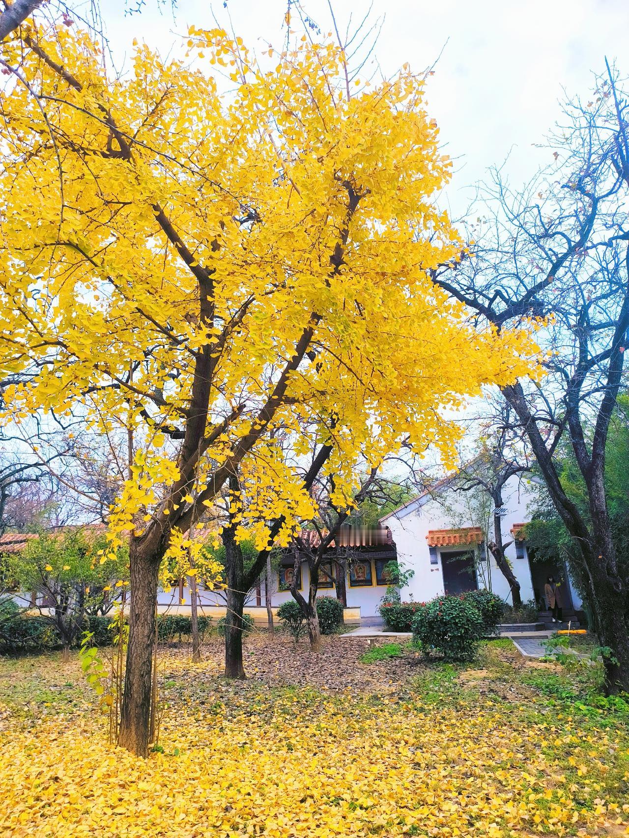 有求于人，必然受制于人。谈起教师地位，我个人觉得比以前提高很多。以前教育需要