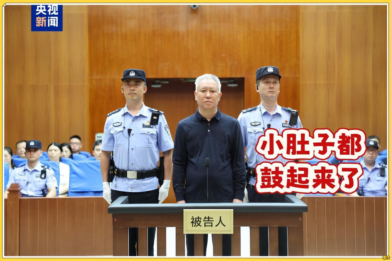 他进去了，头发全白，肚子也圆了。庭审现场的照片流出来那天，评论区炸了。有人