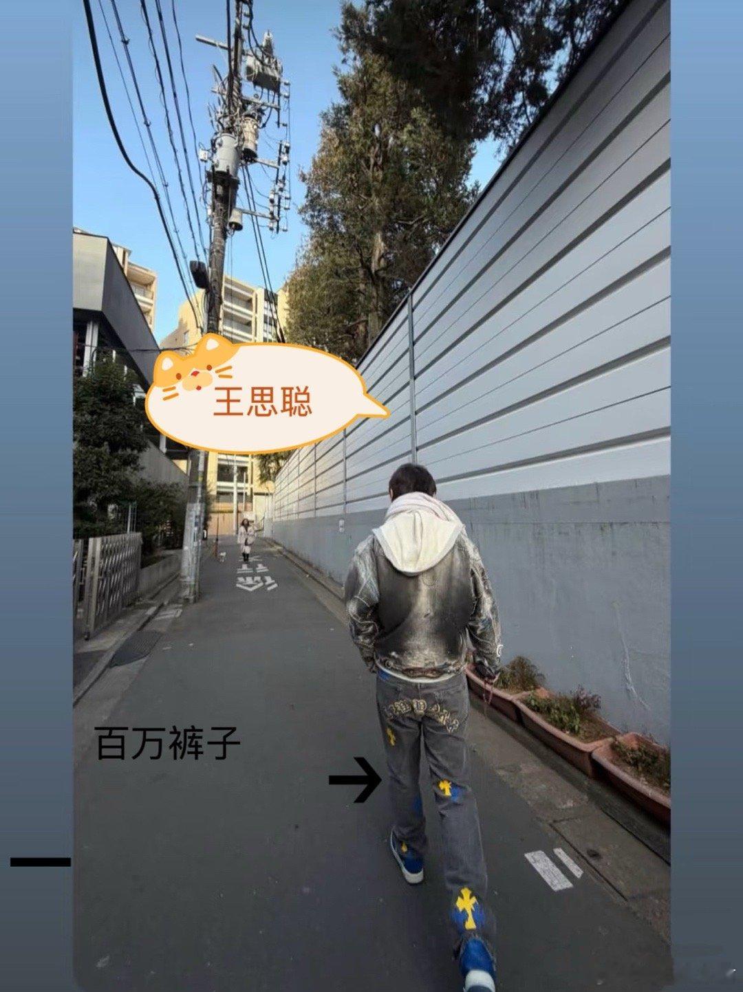 王思聪晒东京街拍，一条裤子上百万，不得不说校长的消费水平还是很硬气，在异国生活的