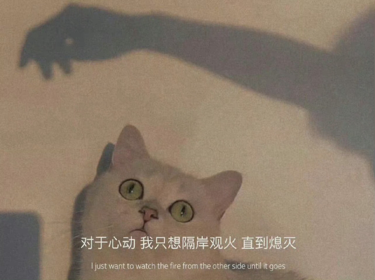 男女现实的择偶，常常上演一场场荒诞的错位戏码：女人迷恋老男人，男人却钟情小女人。