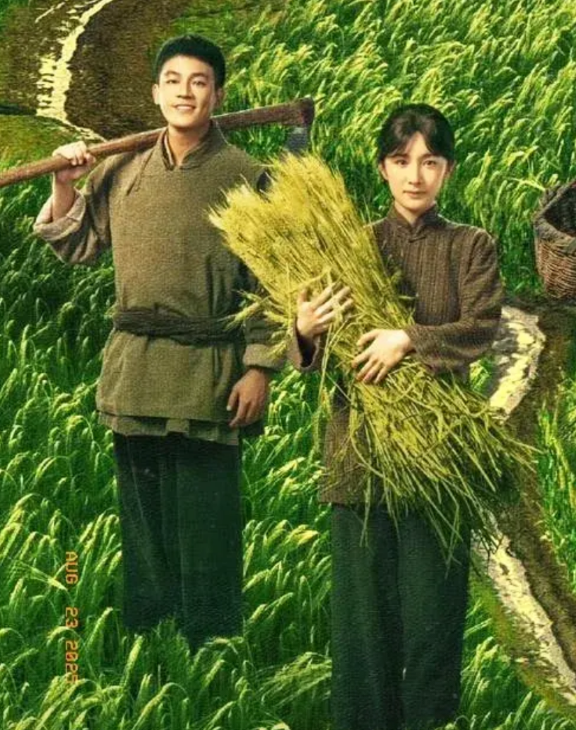 电视剧《生万物》导演的算盘打得真精明为何说他精明？我说了您肯定相信，他用杨幂