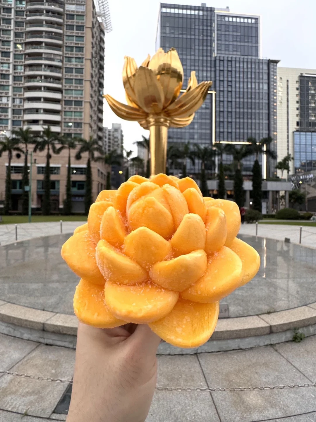 向太同款下午茶？我先替你试了 姐妹你猜我今天蹲在哪喝下午茶？👉金莲花...
