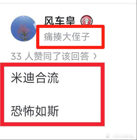 怪不得能天天蜜汁一体只要看不惯的都给抠侄子大帽子就行很喜欢这种meme