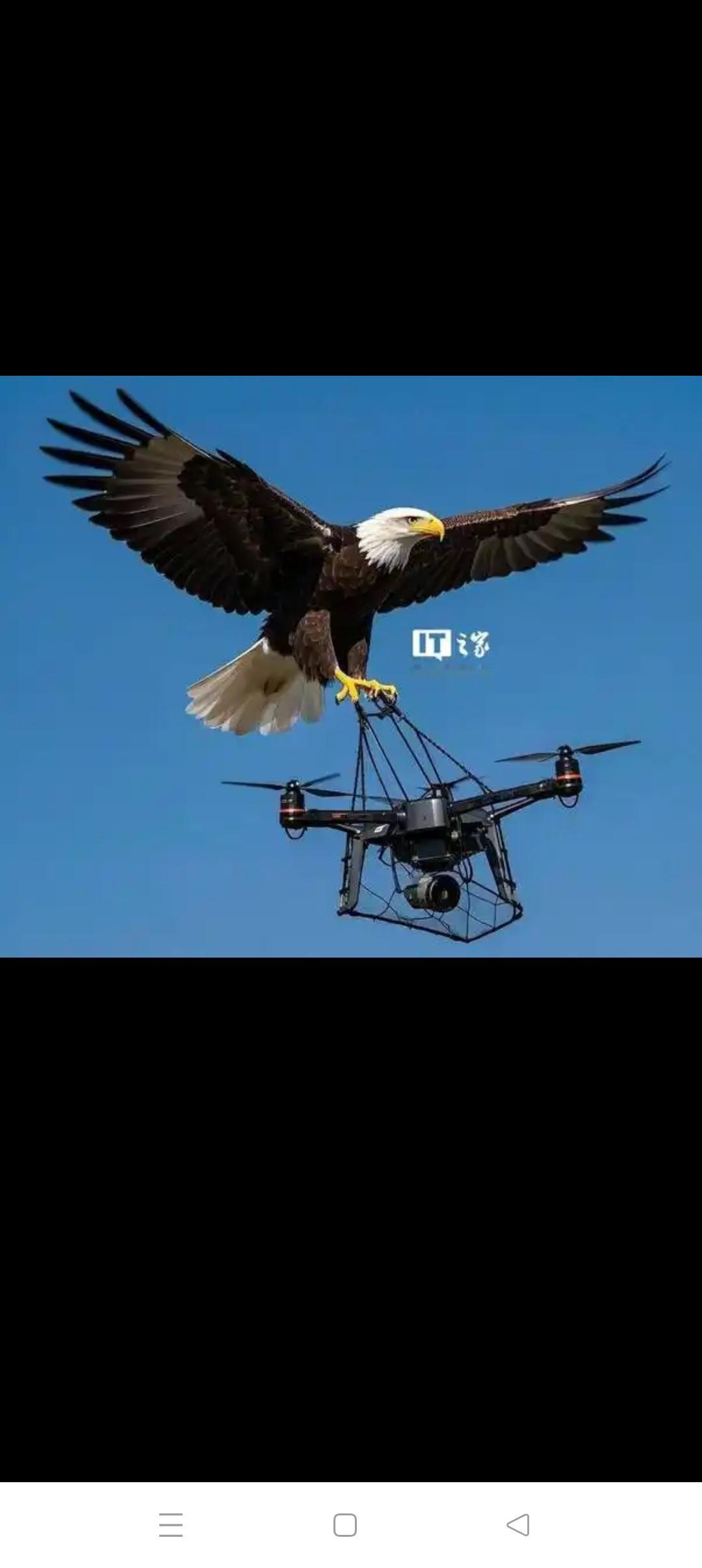 印度阅兵式上亮相的老鹰是干什么的？！1月26日，印度阅兵式上，