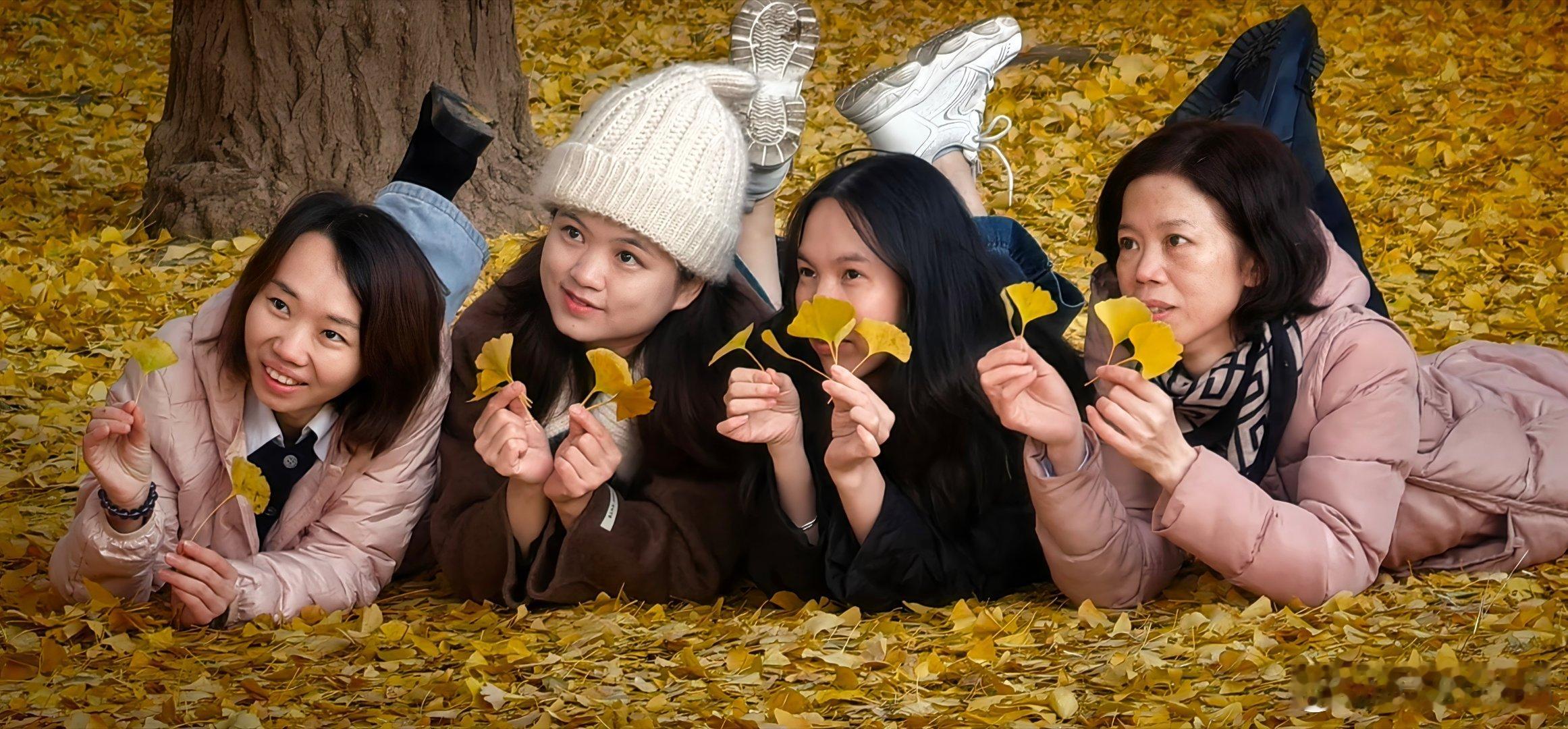 北京钓鱼台银杏大道最后的辉煌，摄影