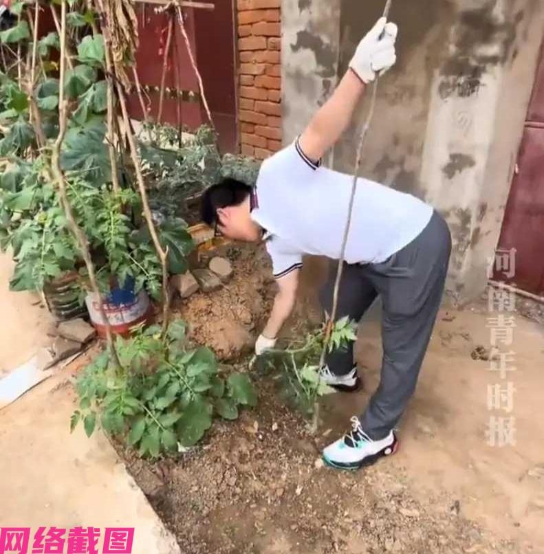 河南有男子回老家一眼看到领居家把一些菜，竟然栽种到自己家这边来，男子有气，本想和