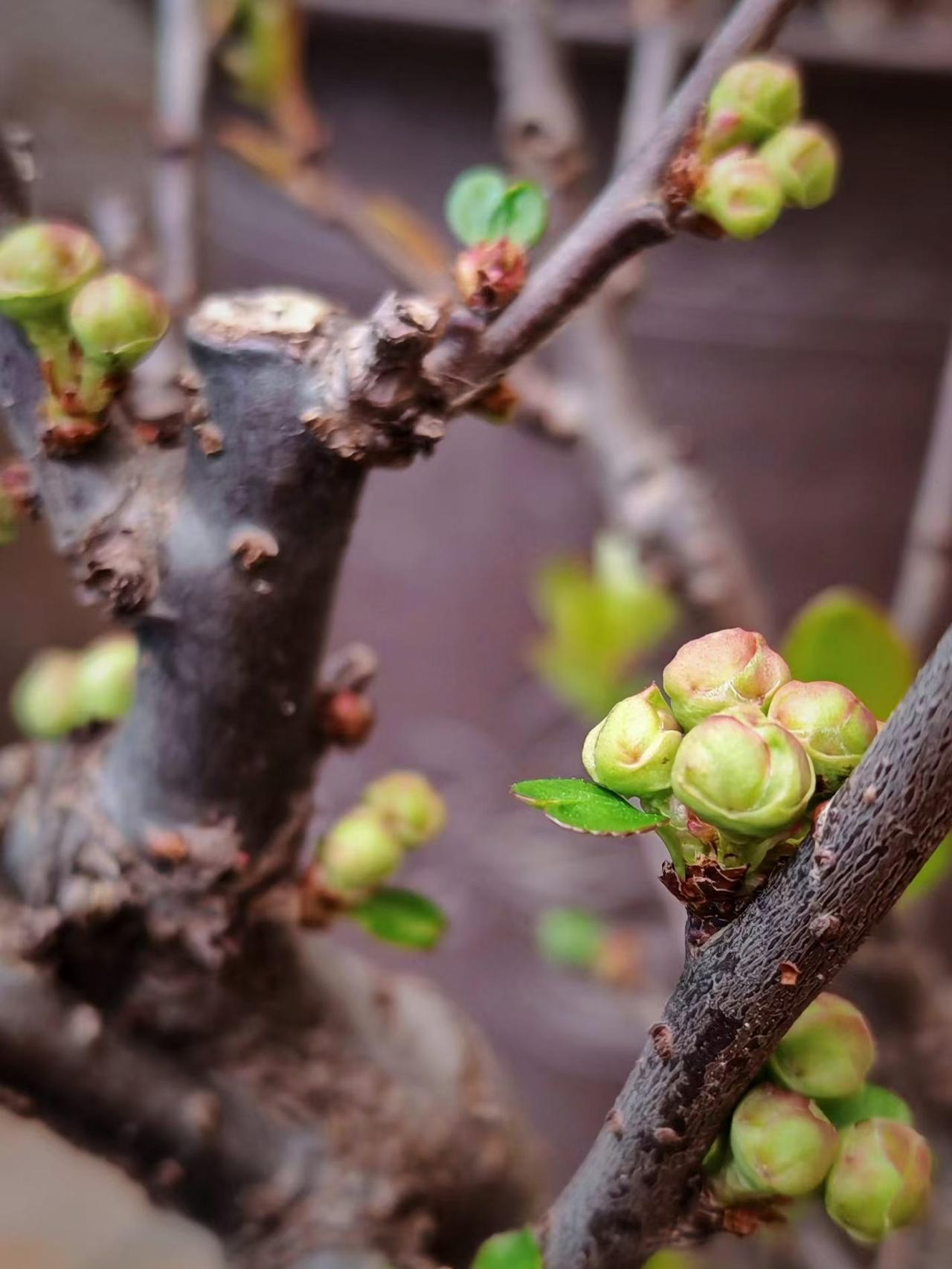 母亲去世以后，我和二姨家的表妹彻底的断亲了。母亲在世的时候和二姨的关系非常的