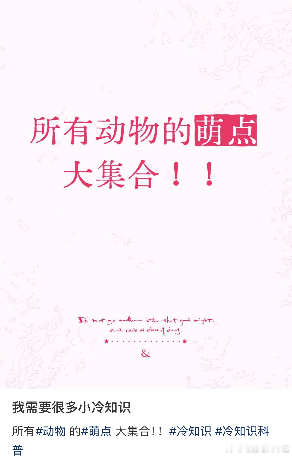 我看到这些就会感到非常幸福​​​