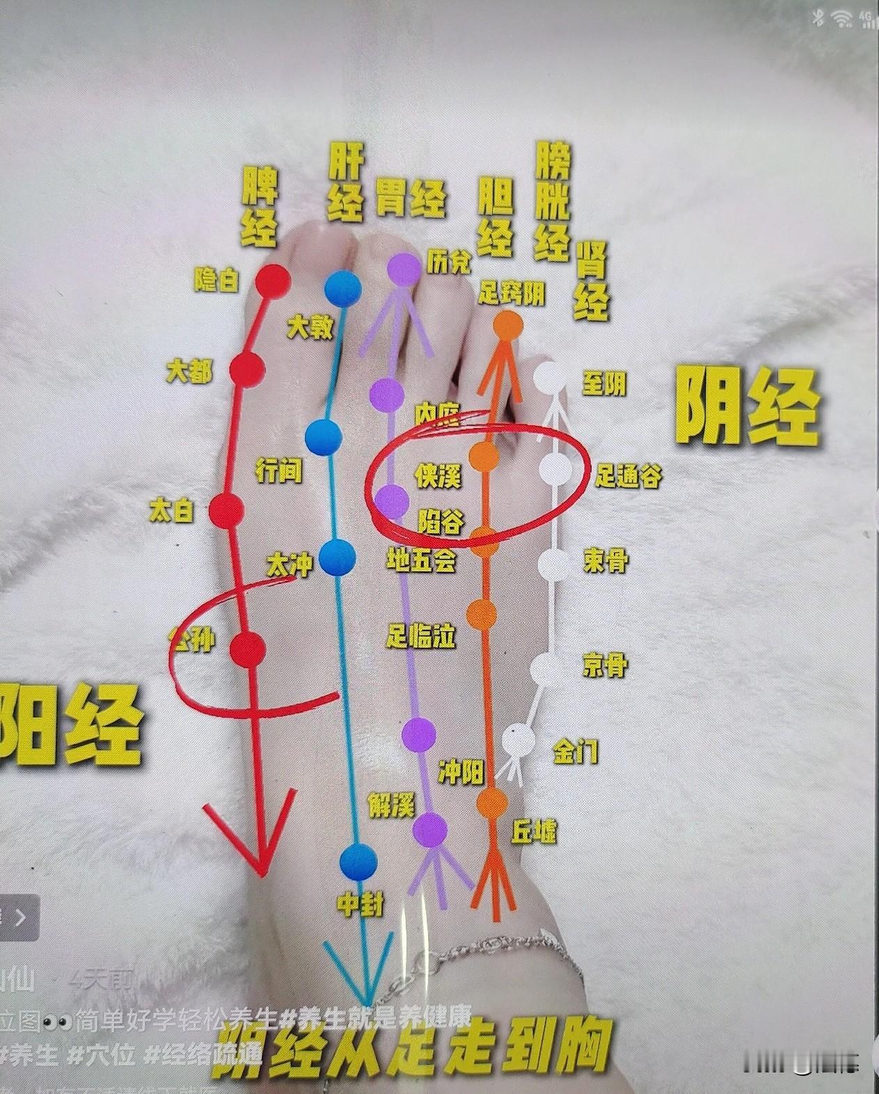  1标题：人老了，少生病就靠这4句话人老了，想健康少生病，记