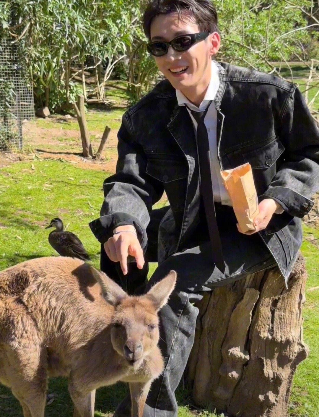 刘学义带我们云游动物园啦！​​​