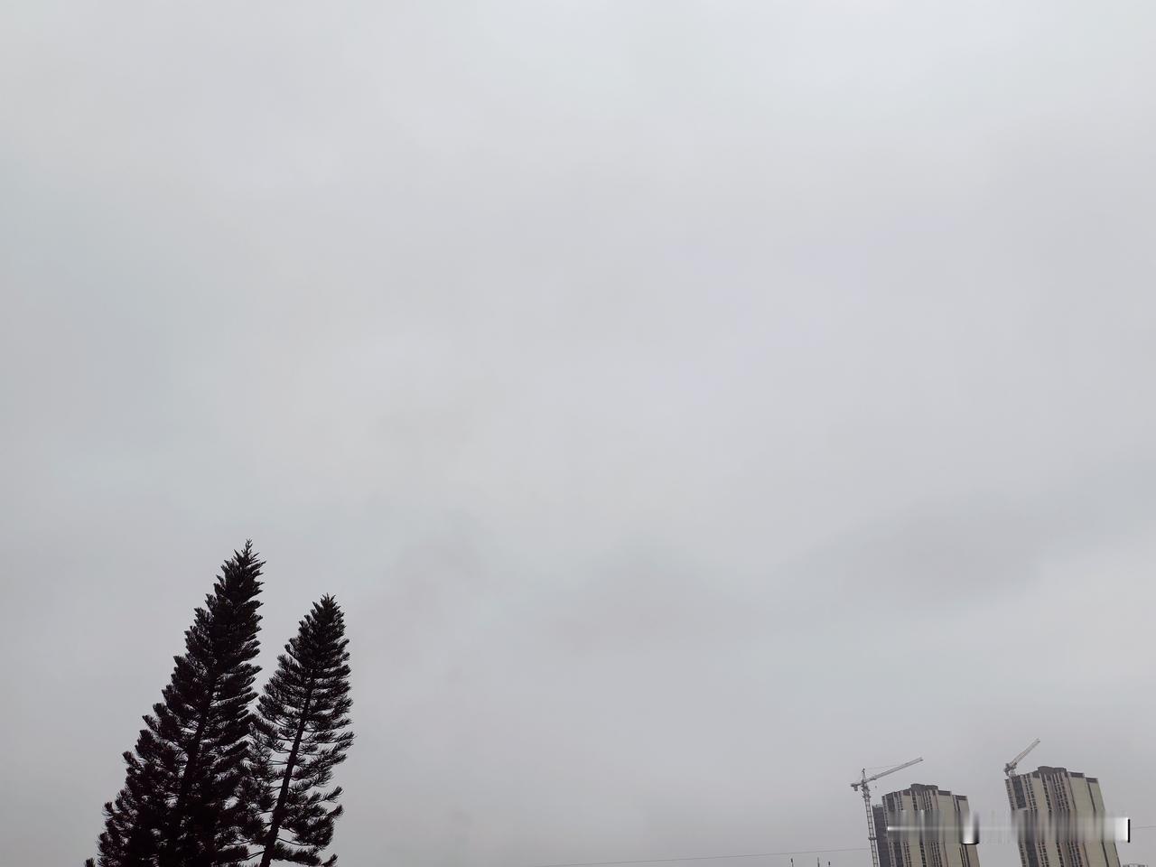 2月份将有4次冷空气影响我国！春节假期前中东部有阴雨雪天气，需防范对春运返程和春