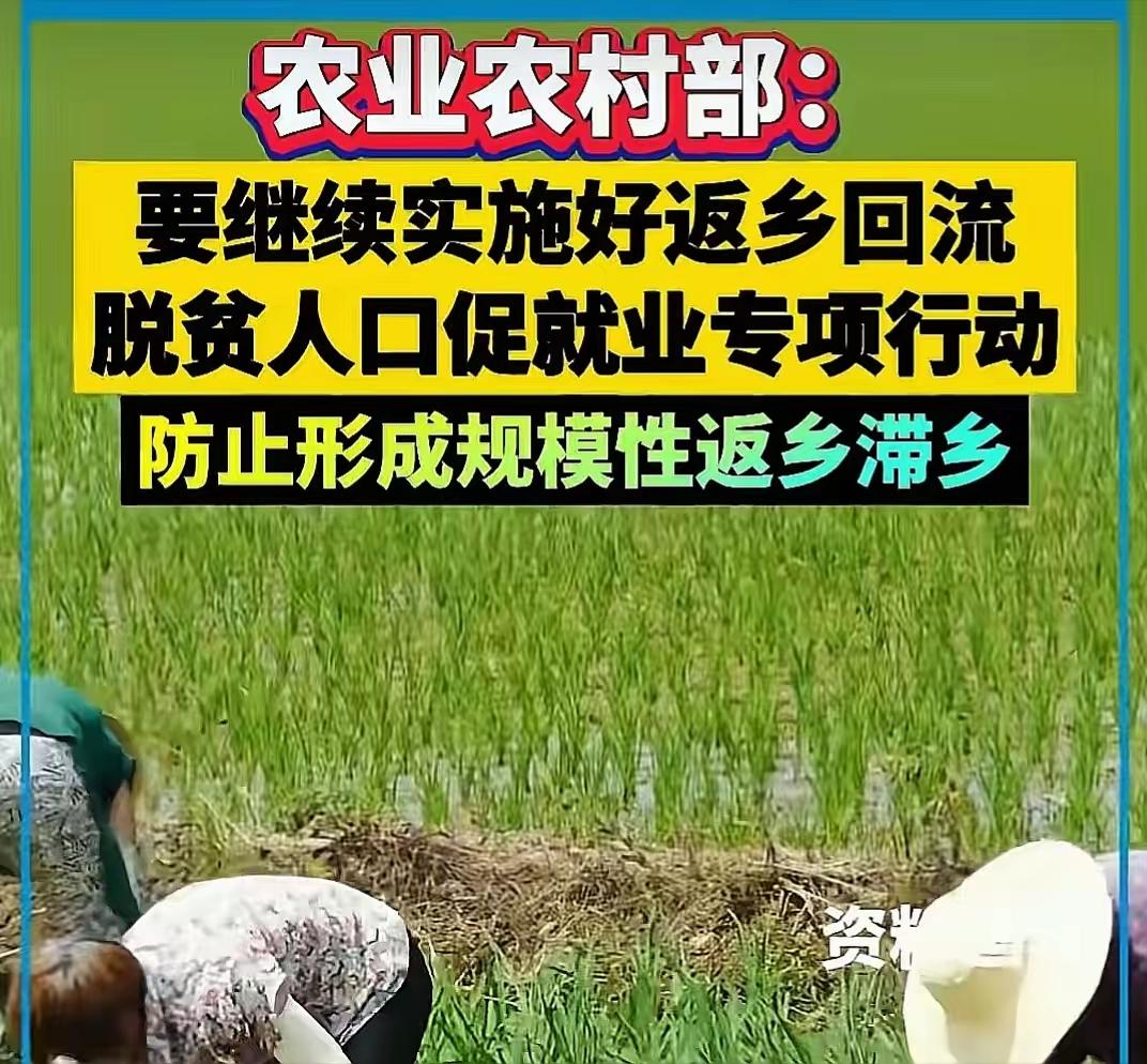 从鼓励返乡创业到预防规模性返乡滞乡，其实折射出一个矛盾现实：很多农村朋友之所以到