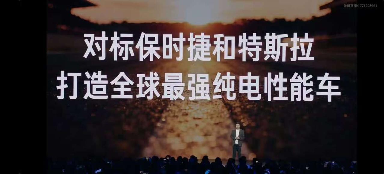 雷子这话不厚道啊如果是之前说这话还勉强可以，但是仰望U9已经创下了496.2