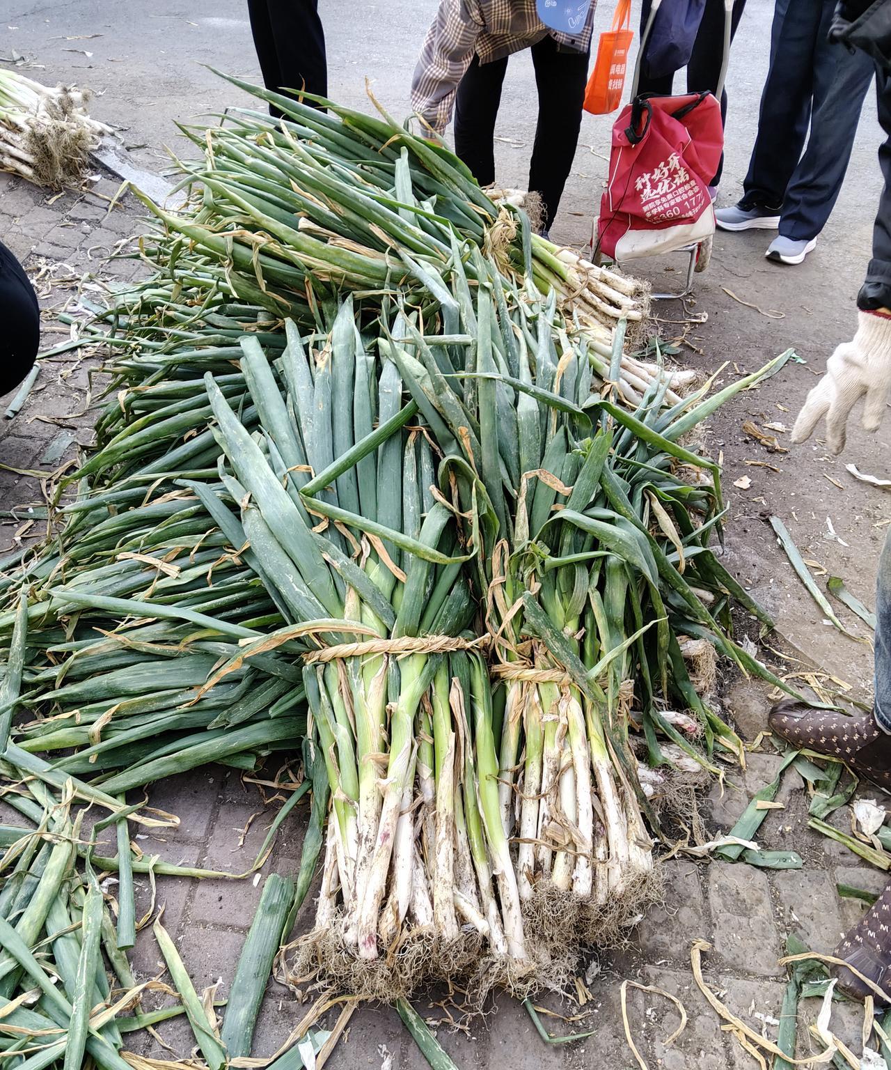 哈尔滨的大葱价格又便宜了！今天去市场，发现卖大葱的商家都搞起了价格战，价格也是