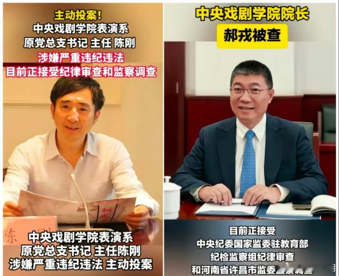 中央戏剧学院出了大事，而且是一连串的大事儿，把吃瓜群众都看懵了。先是院长郝戎主动