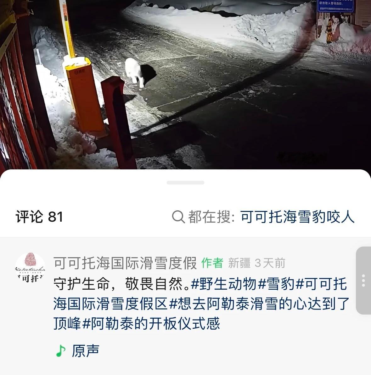 1月23日19时许，新疆富蕴县可可托海镇宝石沟附近，一女游客被野外雪豹攻击，尽管