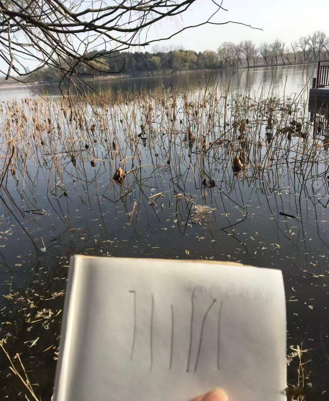 毕加索看了之后说:青出于蓝而胜于蓝