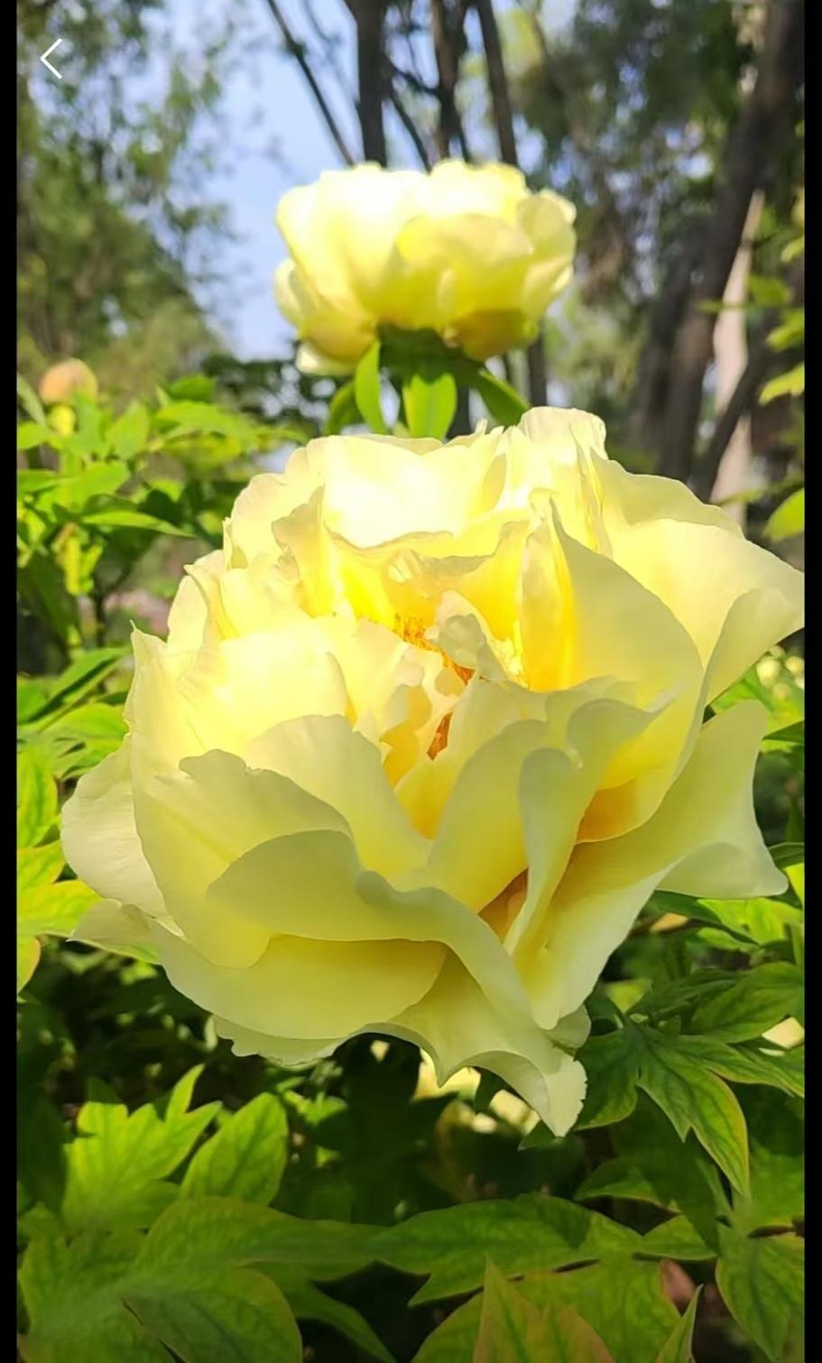 头部券商业绩超预期，那么中小型券商业绩会不会更加具有想象力呢？！除了中信证券