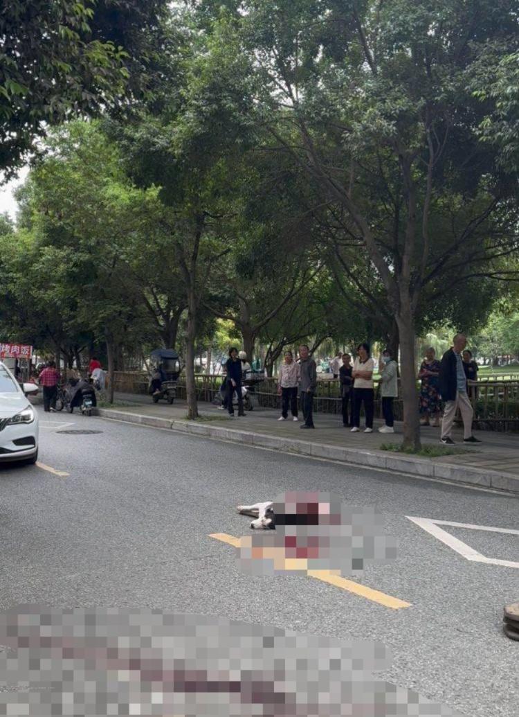 11日15时许，@上游新闻记者走访涉事店铺发现，该店铺已闭店，周围店铺的店员
