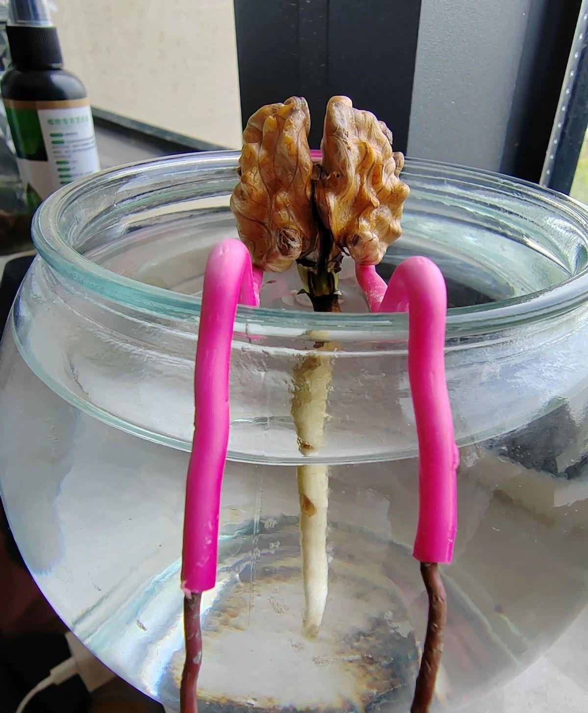 赛力斯这步棋，说白了就是蓝电实在扛不动了。前四个月总共卖了1.1万辆，月均不到