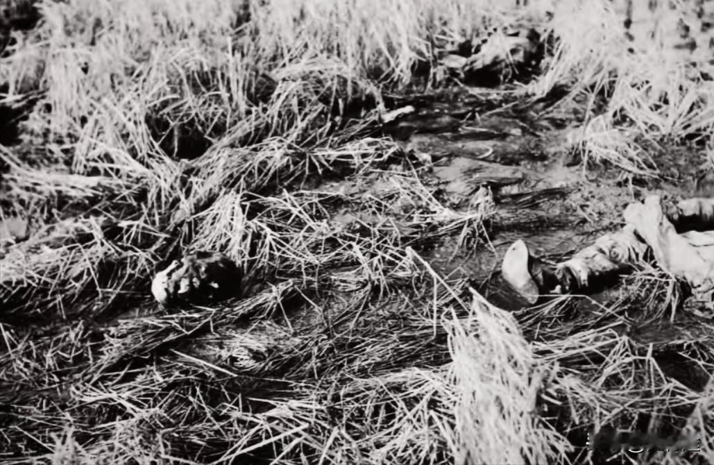 1938年2月，日寇拍摄的淞沪会战罗店战场遗迹，激战半年后荒草中扔处处可见我抗日