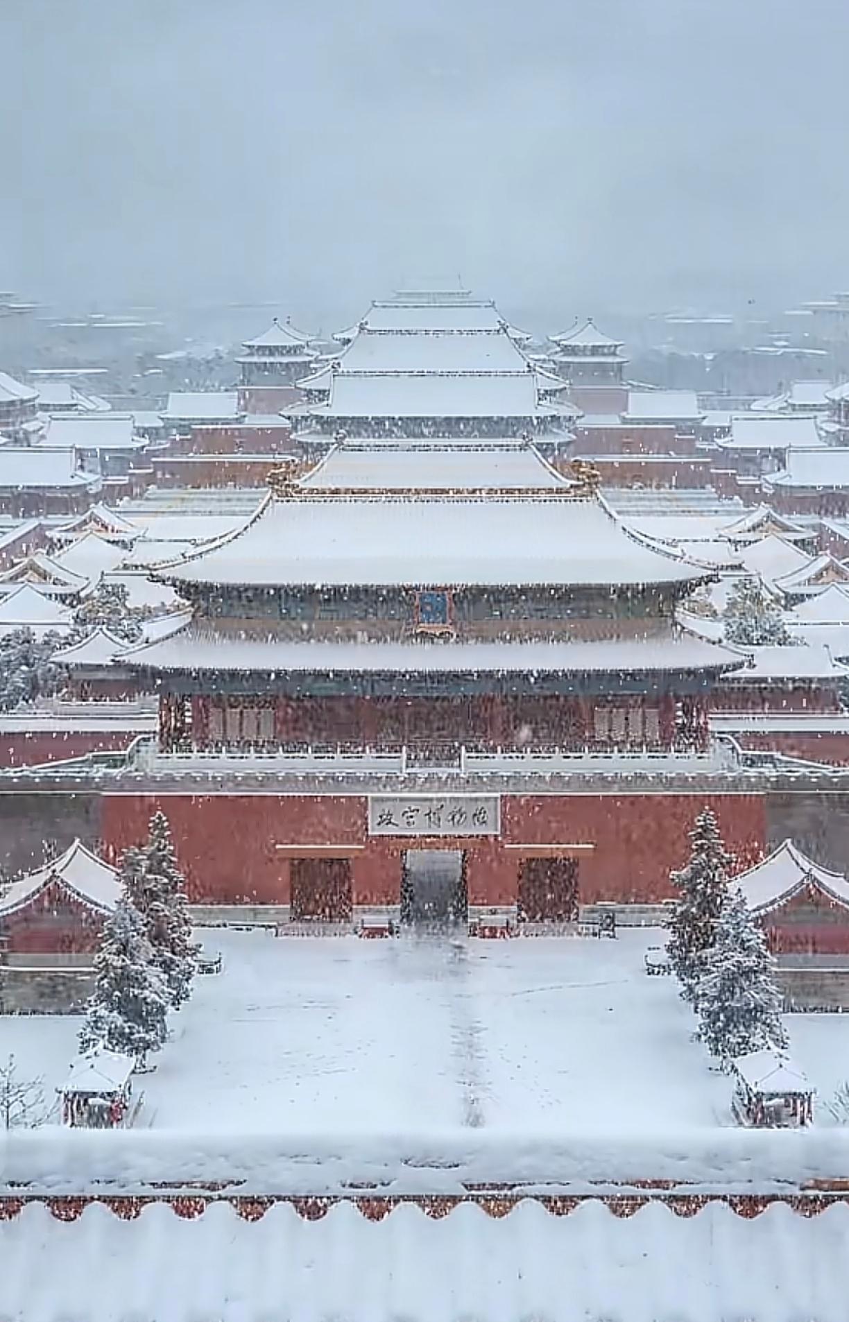 北京的一场初雪太美啦，红墙白雪，是故宫最浪漫的配色，飞檐落雪，像极了古人笔下的水