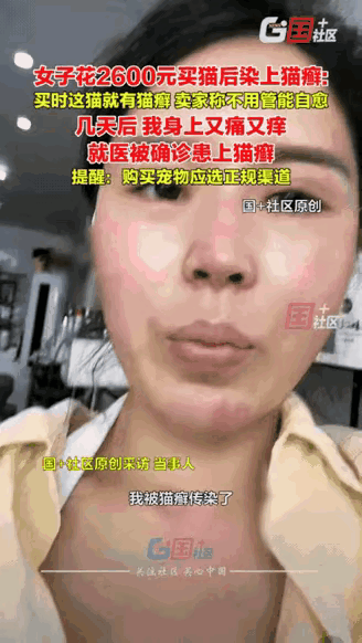 崩溃了！浙江嘉兴这姑娘花2600块买猫，明知猫有癣还信卖家“能自愈”，结果没几天